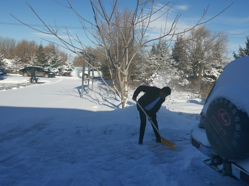 1636692992391631.jpg 党员干部清雪1.jpg