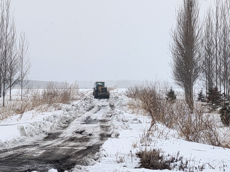 1647586262321846.jpg 清雪1.jpg