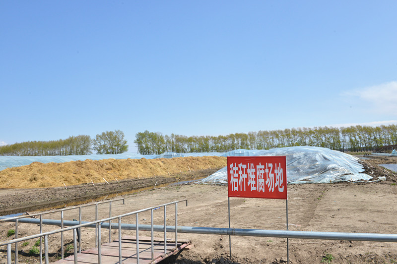 1653875174715543.jpg DSC_3620_副本.jpg