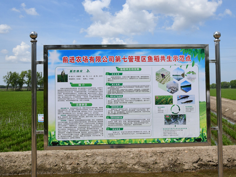 1655343452212268.jpg DSC_0174.JPG