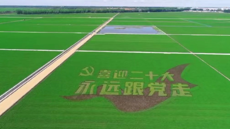 1656635691628762.jpg 微信图片_20220701080853_副本.jpg