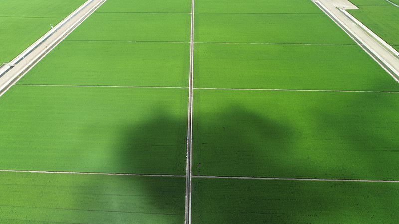 1659316490868266.jpg DJI_0035 (3)_副本.jpg