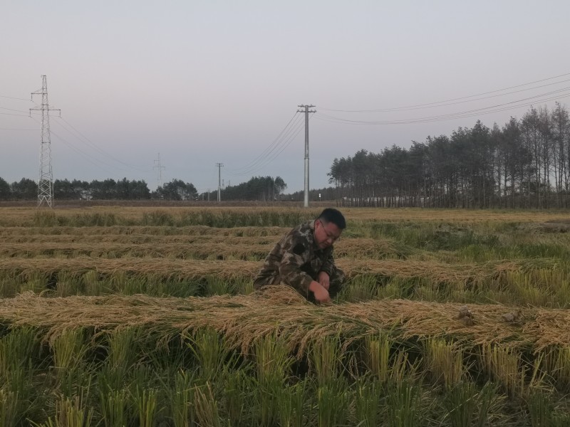 1663896350721780.jpg 民兵.jpg