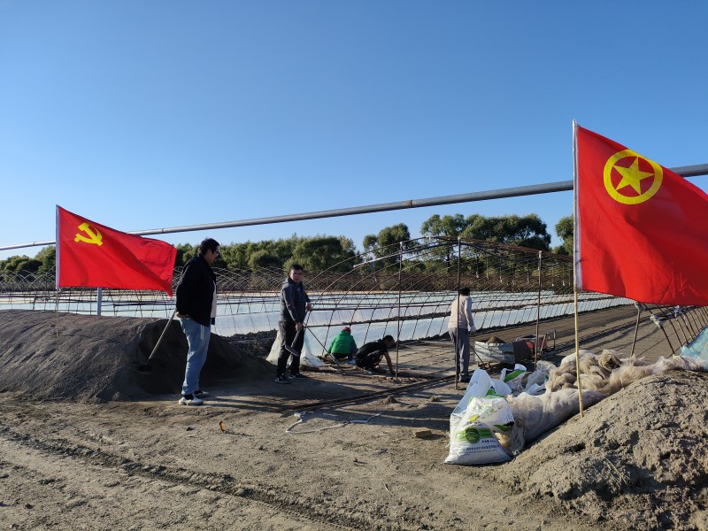 1664402266696065.jpg 党建带团建.jpg