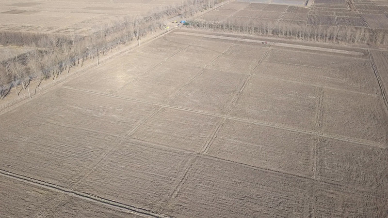 DJI_0321_Moment_副本.jpg