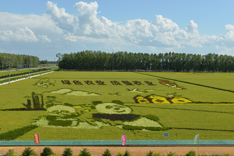 1672967871194808.jpg DSC_7567_副本.jpg