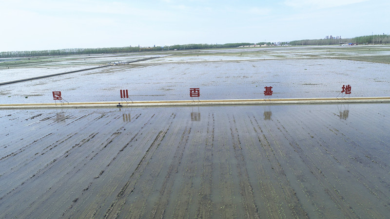 1684717570488782.jpg 3.2打造垦川香专属基地(备选)_副本.jpg