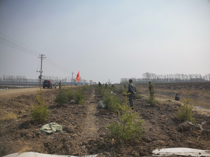 1684830086770967.jpg 前进农场有限公司造绿增绿全面完成春季造林绿化工作2.jpg
