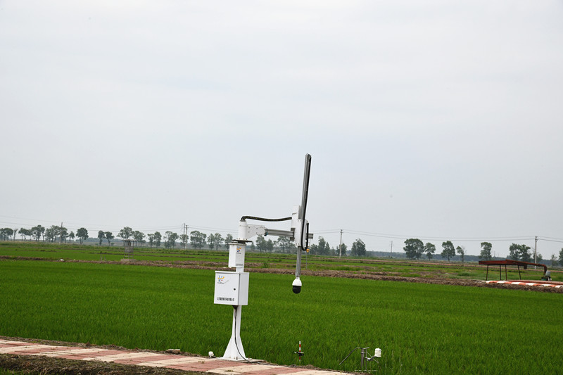1686894494355024.jpg DSC_0462_副本.jpg