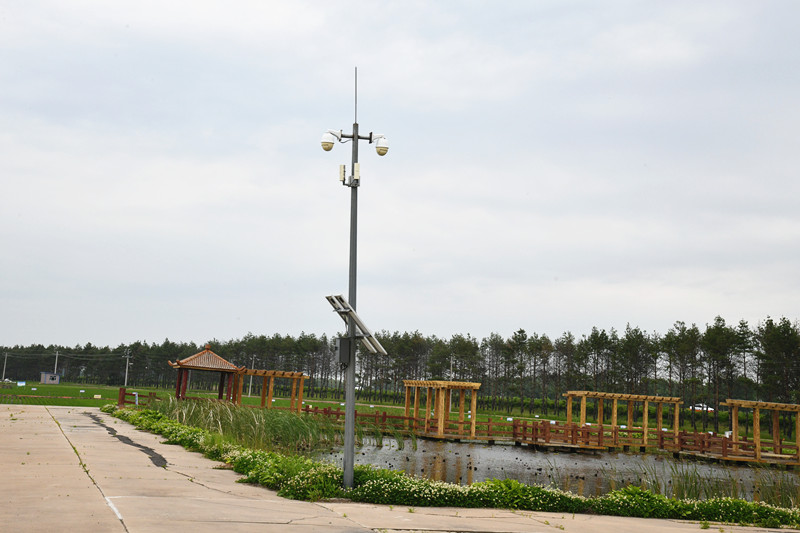 1687656444958099.jpg DSC_0459_副本.jpg