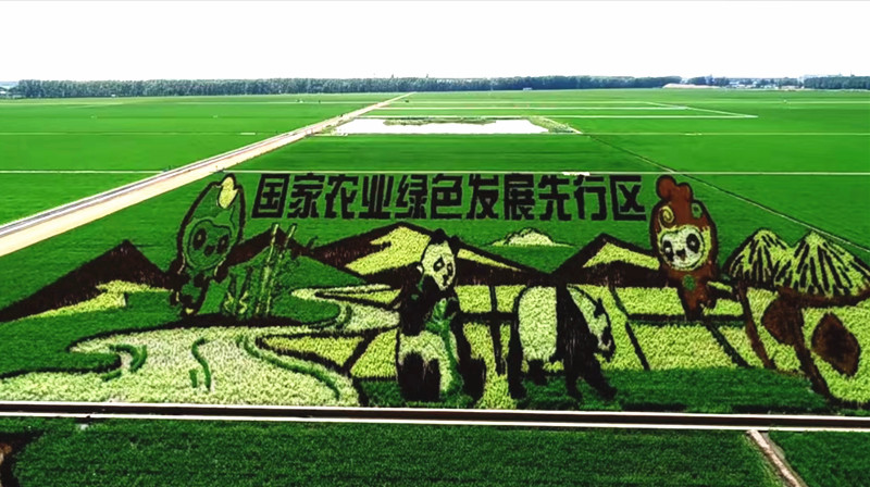 1689299648216127.jpg 微信图片_20230714083926_副本.jpg