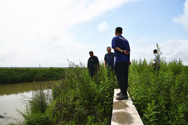 1689647164169894.jpg DSC_0993_副本.jpg