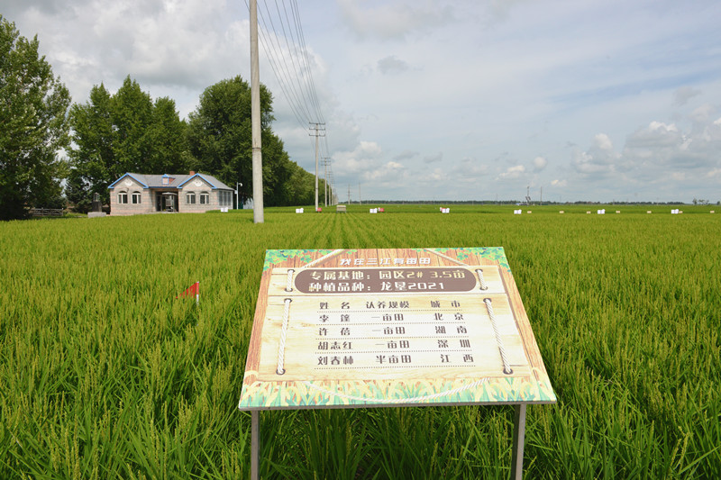 1690856311253473.jpg DSC_7001_副本.jpg