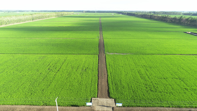 1691475183704465.jpg DJI_0101 (2)_副本.jpg