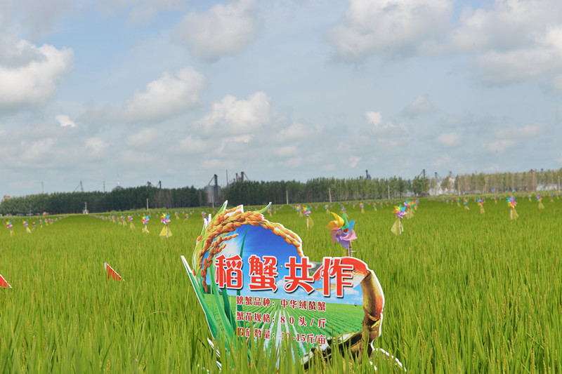 1692237035166498.jpg DSC_6920_副本.jpg