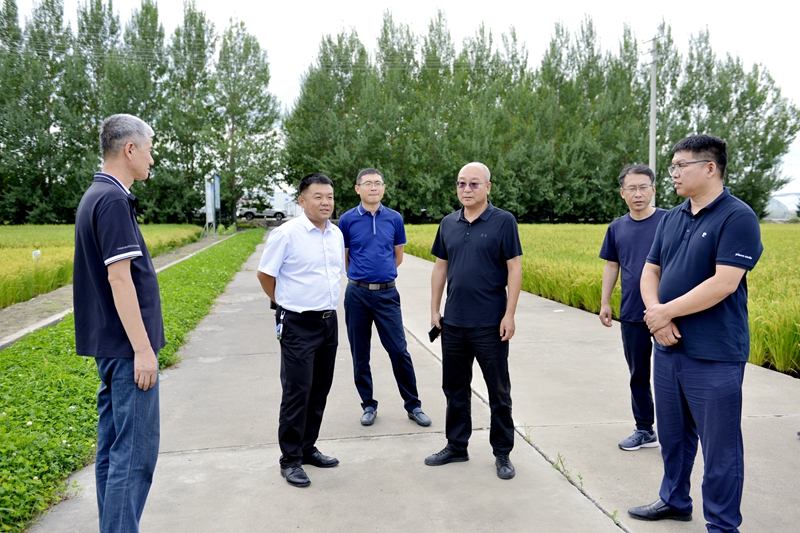 1692237251968039.jpg _DSC8615_副本.jpg