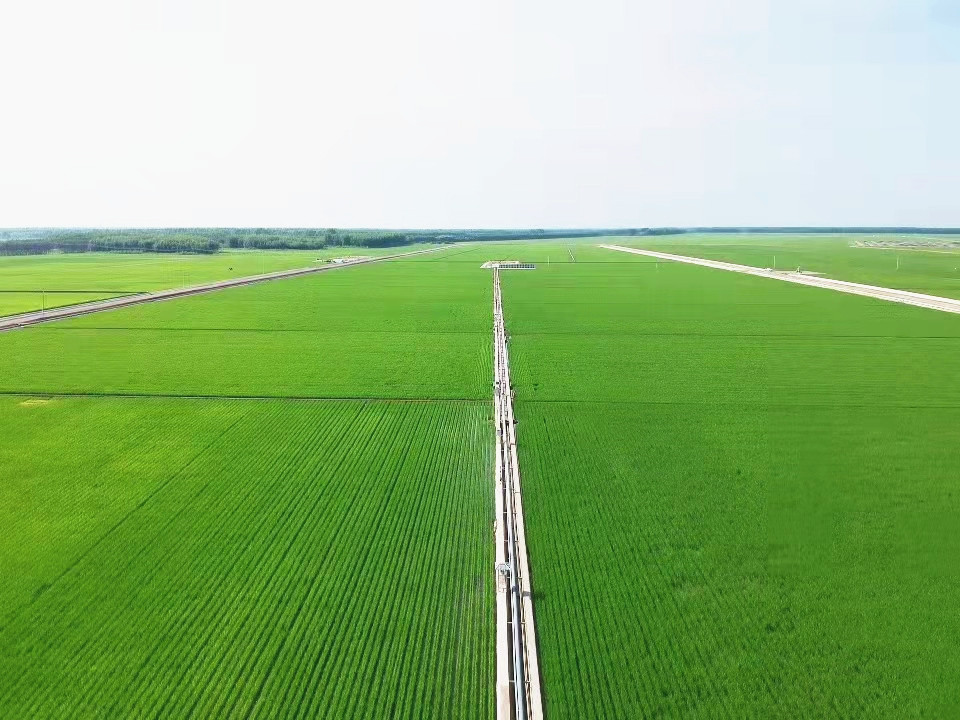 3.前进农场“1234”标准化格田改造地块_副本_副本.jpg