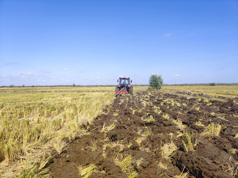 1695080158772846.jpg