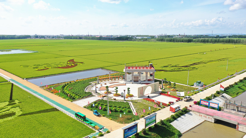 1700459107931892.jpg 1.前进农场数字灌区示范区全景图(摄影 付永新)_副本.jpg