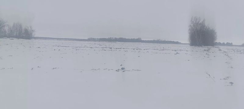 1705557212197725.jpg