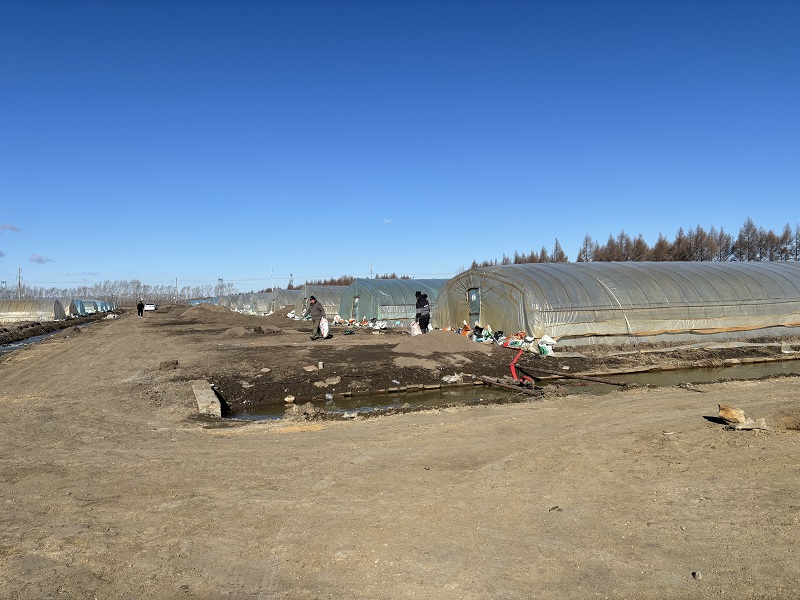 1712623705568470.jpg 大棚基地环境治理.jpg
