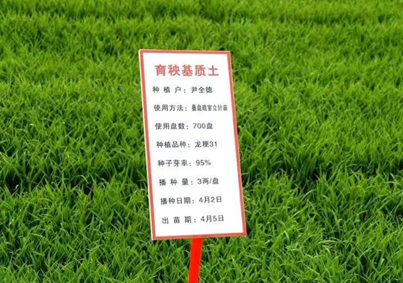 1713486255371126.jpg