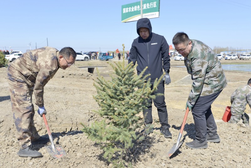 1715073426118405.jpg 前进农场有限公司开展义务植树活动3.jpg