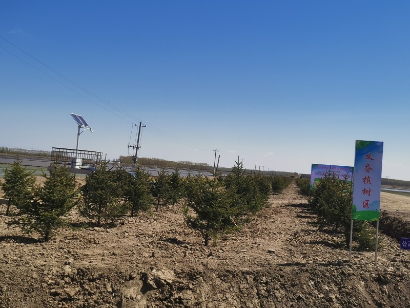 1715073452367815.jpg 前进农场有限公司开展义务植树活动4.jpg