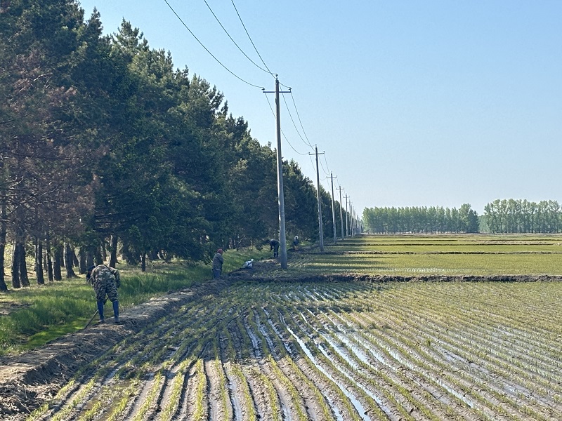 池埂提档升级.jpg