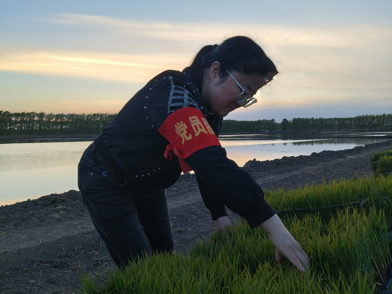 8eec24816488ded9ad7878c37b3bb4c_副本.jpg