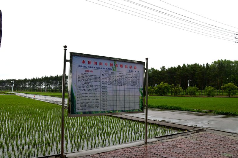1718154117959534.jpg DSC_9801_副本.jpg