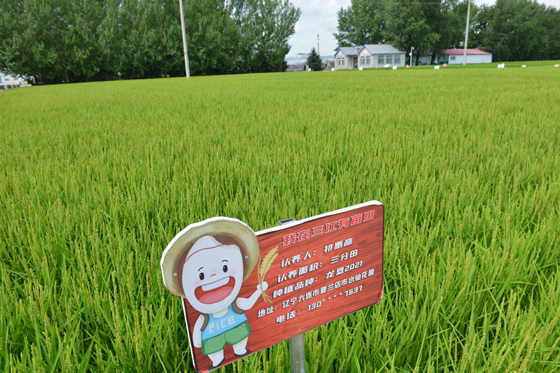 1723595279337159.jpg DSC_7019_副本.jpg