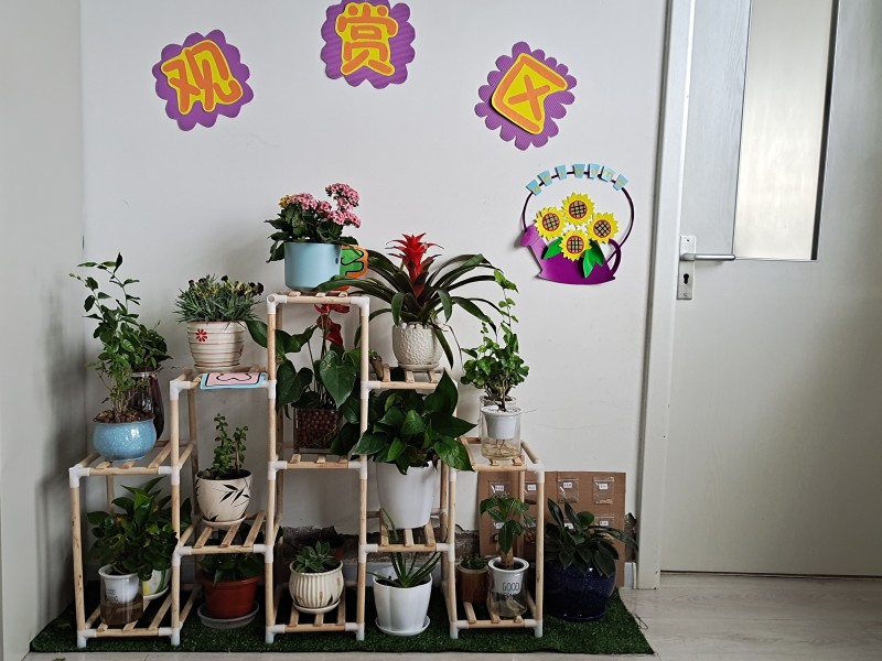 1725322385292058.jpg 植物角1.jpg