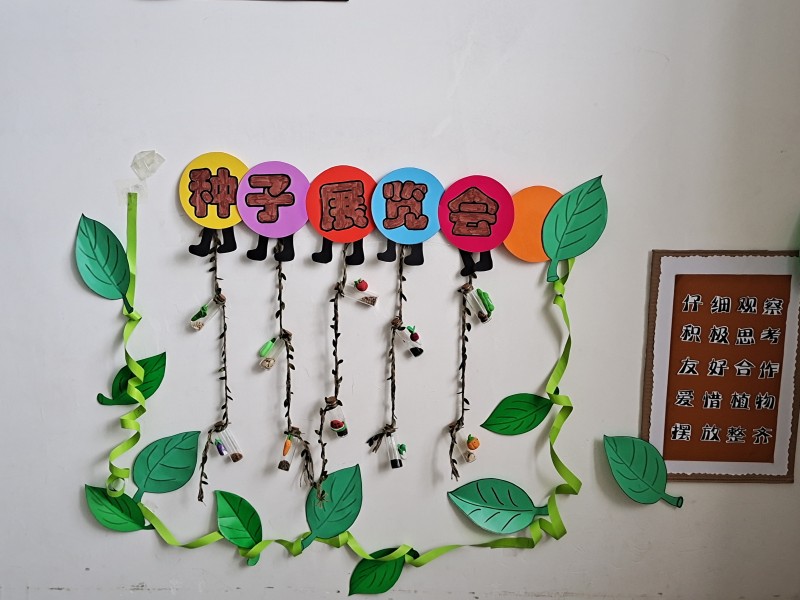 1725322390750579.jpg 植物角2.jpg