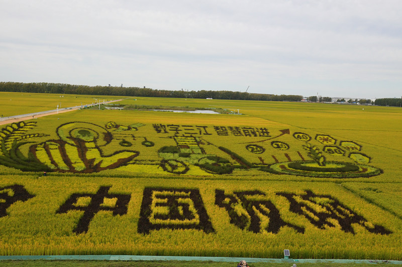 1726100854981207.jpg DSC_2415_副本.jpg