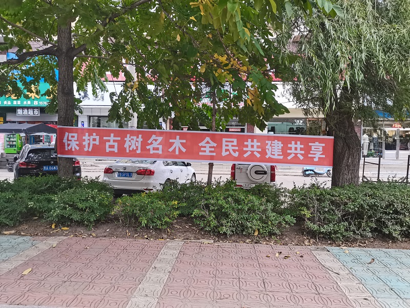1727245014613945.jpg 前进农场有限公司农业发展部开展“保护古树名木 全民共建共享”主题宣传活动1.jpg