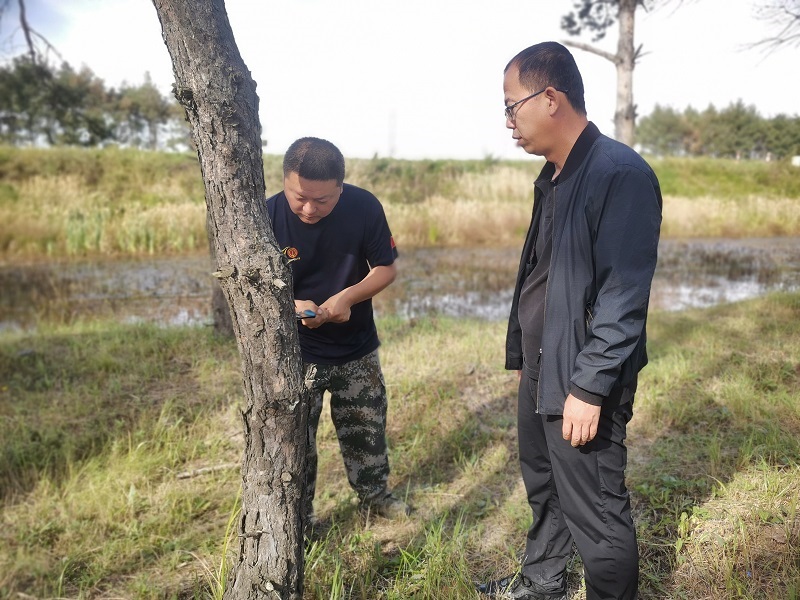1727416171246329.jpg 前进农场有限公司积极开展秋季森林病虫害调查工作1.jpg