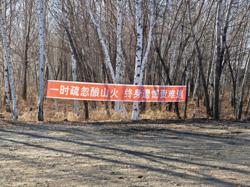 1742344805777520.jpg 252525...jpg