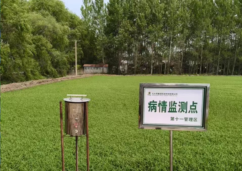 1750119479412578.jpg 微信图片_20250616160650_副本.jpg