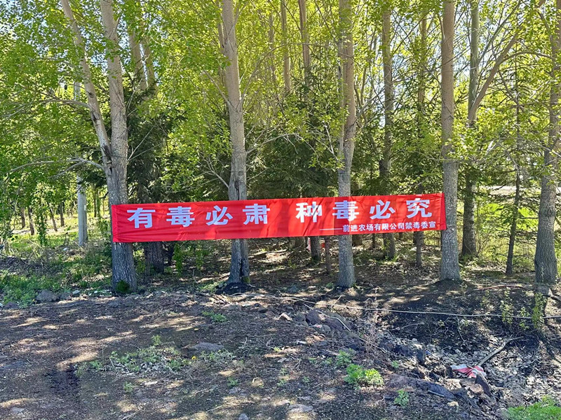 1751246318139264.png 0abf69c18b228e8a57884e8753b0620_副本_副本.png