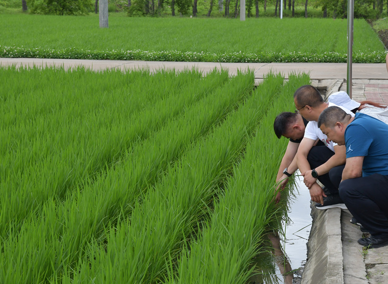 DSC_0954_副本.jpg