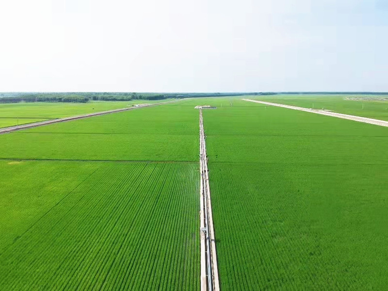 3.前进农场“1234”标准化格田改造地块_副本_副本.jpg