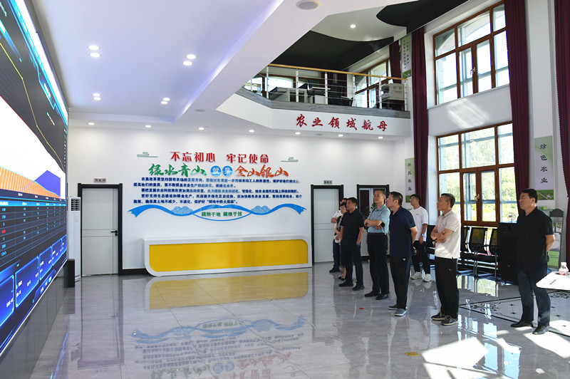 1755216259600107.jpg DSC_0141_副本.jpg