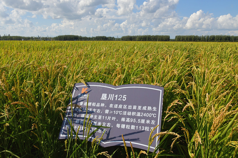 1755475865548582.jpg DSC_0172_副本.jpg