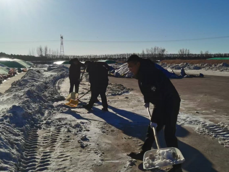 1765509747783331.jpg 晒场清雪.jpg