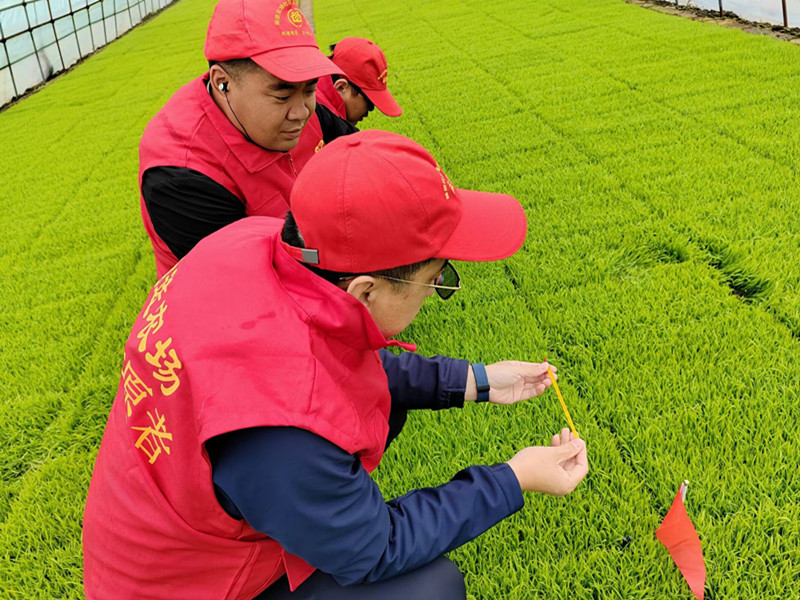 谷雨活动_副本.jpg