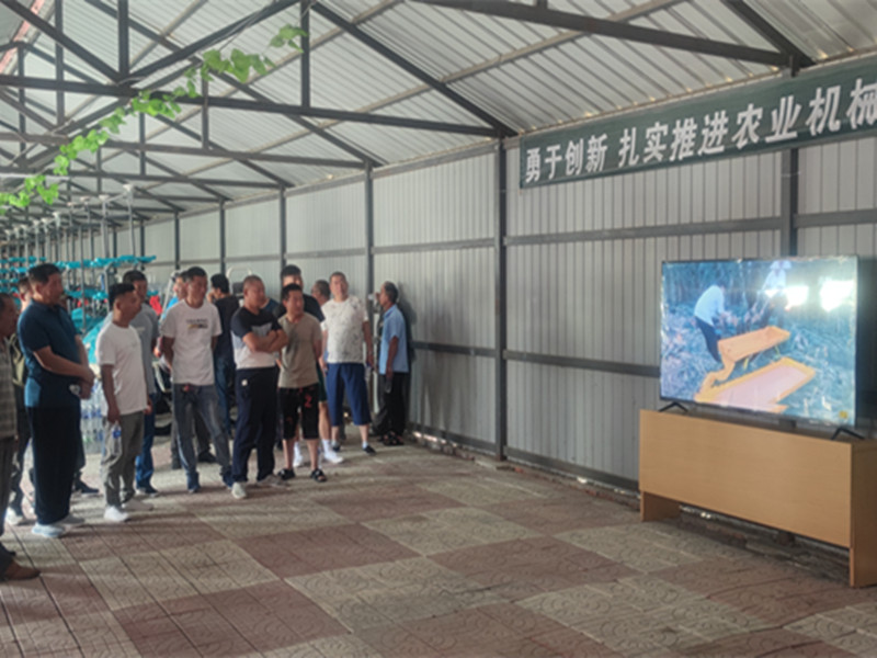 1783391391509617.jpg dfff5beebe4a066a464104b702734d3e_副本.jpg