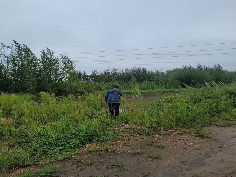 1786407818680375.jpg 08110.jpg