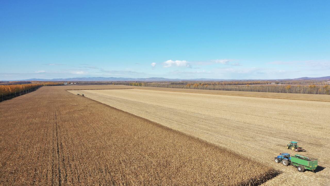 五区002.jpg