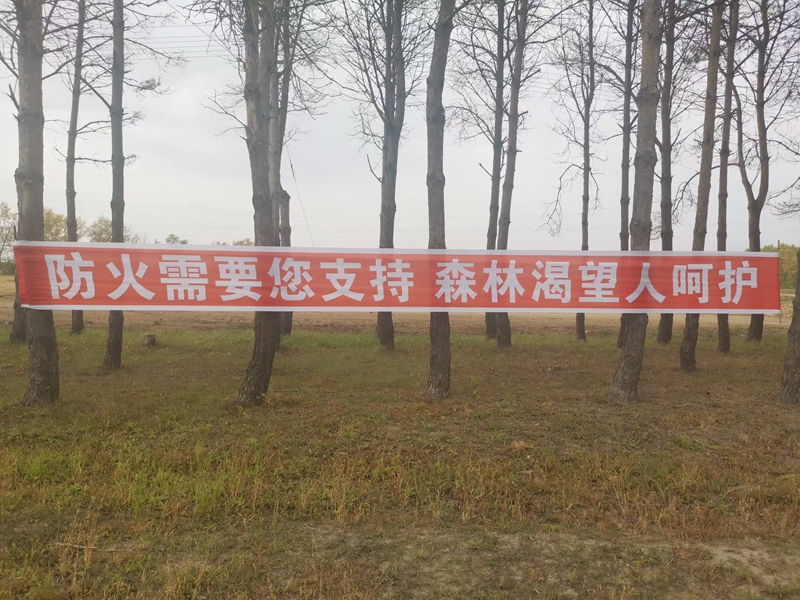 1793318335354579.jpg mmexport1793144941744_副本.jpg